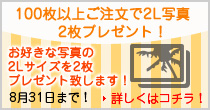 送料無料キャンペーン